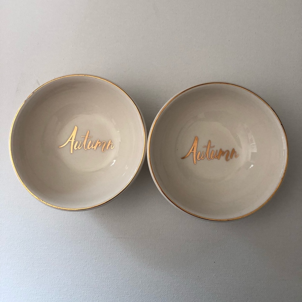 Dash of That Autumn Desert Bowls